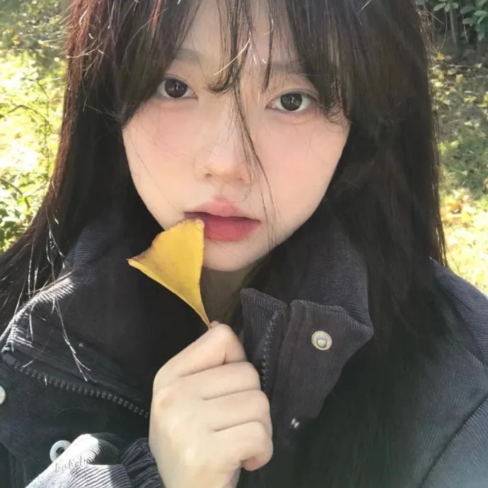 飞燕新装